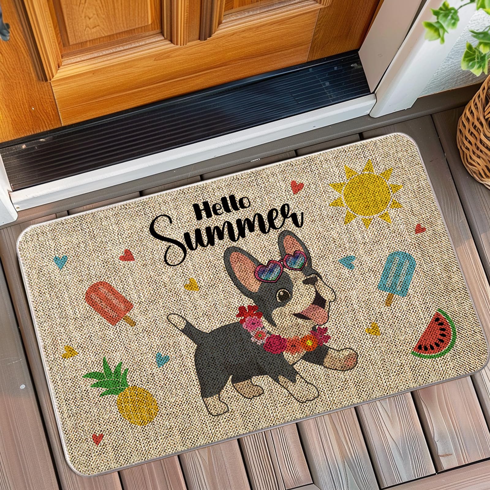 QIONG MENG Summer Door Mat French Bulldog Welcome Mat Outdoor Summer Dog Entrance Rug Farmhouse Home Kitchen Floor Front Doormats 17 x 27 Inch